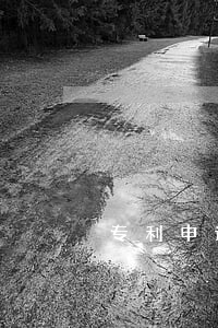 专利申请和心理学也有关系？