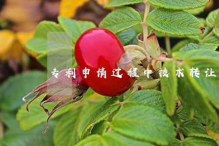 专利申请过程中技术转让合同的认定及处理