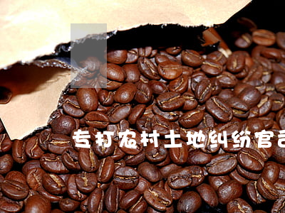 专打农村土地纠纷官司的律师衡水