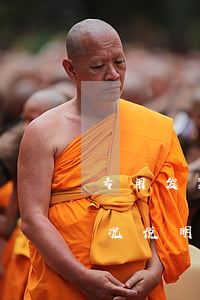 专用发票逾期情况说明怎么写(逾期开票的情况说明)