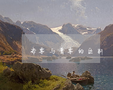 专票与普票的区别