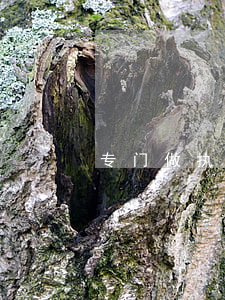 专门做执行案件的律师(执行律师事务所)