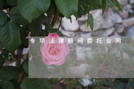 专项法律顾问委托合同