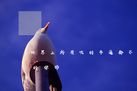 世界上所有吹的牛逼，都不如一句话：有事找我的律师！