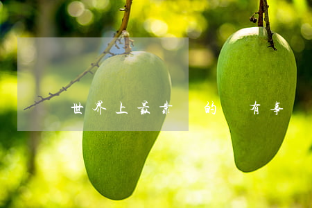 世界上最靠譜的話：有事，請找我的律師談