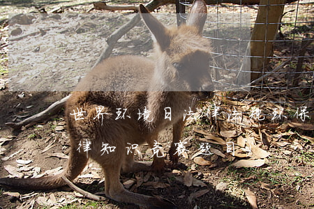 世界环境日法律法规环保知识竞赛(环保法律知识竞赛题目)