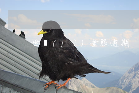 世紀(jì)金服逾期
