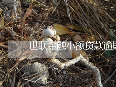 世联金融小额贷款逾期(世联小额贷款公司)