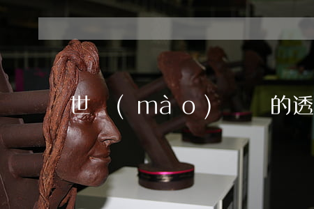 世貿(mào)組織的透明度原則