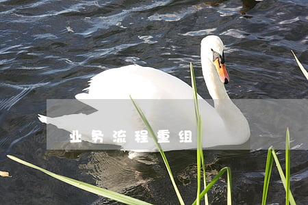 业务流程重组