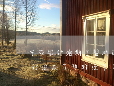 东亚银行逾期了暂时还不上怎么办-东亚银行逾期了暂时还不上怎么办呢