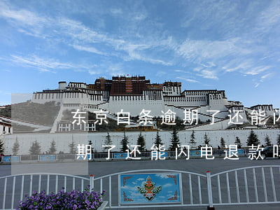 东京白条逾期了还能闪电退款吗 东京白条逾期了还能闪电退款吗