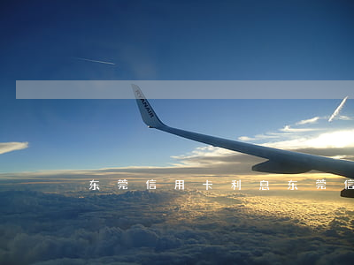东莞信用卡利息(东莞信用卡利息最低)