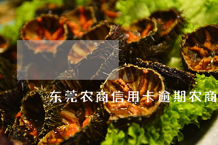 东莞农商信用卡逾期(农商行信用卡逾期)