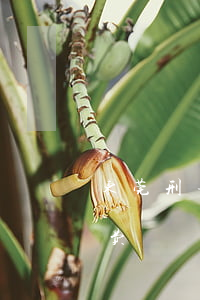 东莞刑事拘留律师怎么委托(东莞刑事律师收费)