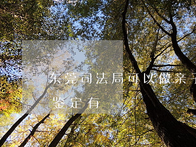 东莞司法局可以做亲子鉴定吗(东莞司法亲子鉴定有)
