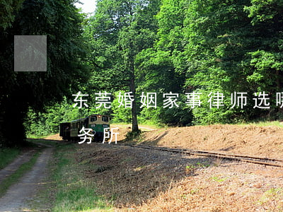 东莞婚姻家事律师选哪个(东莞市十大律师事务所)