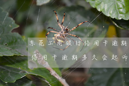 东莞工商银行信用卡逾期多久(东莞工商银行信用卡逾期多久会起诉)