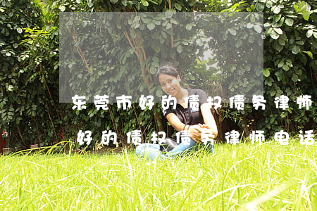 东莞市好的债权债务律师电话多少-东莞市好的债权债务律师电话多少号