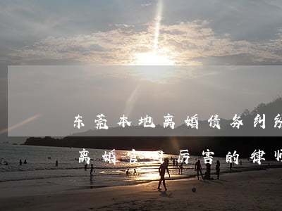 东莞本地离婚债务纠纷律师哪个好-东莞打离婚官司厉害的律师