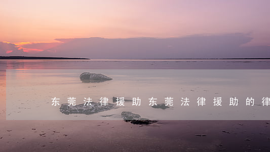 东莞法律援助(东莞法律援助的律师可靠吗)