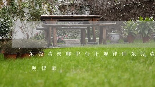 东莞清溪哪里有正规律师(东莞清溪哪里有正规律师)
