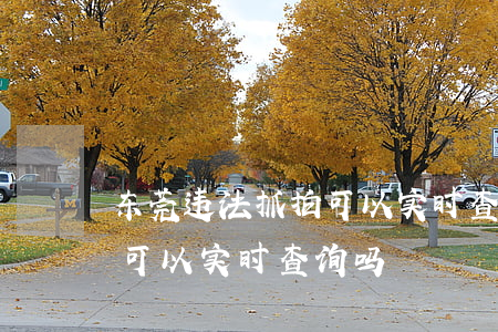 东莞违法抓拍可以实时查询吗(东莞违法抓拍可以实时查询吗)