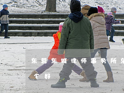 东营东城律师事务所(东营东城律师事务所哪个好)