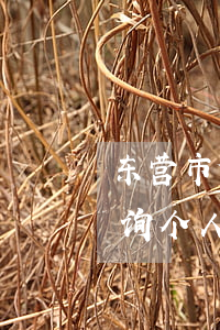 东营市住房公积金查询(东营市住房公积金查询个人账户查询余额)