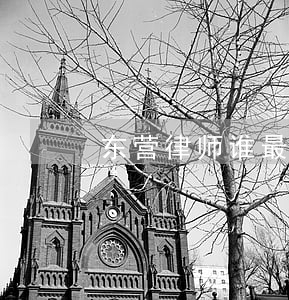 东营律师谁最厉害(山东东营律师事务所排名)
