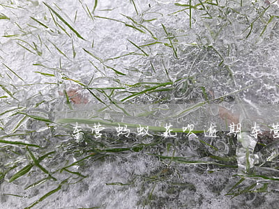 东营 蚂蚁花呗 逾期 东营 蚂蚁花呗 逾期怎么办
