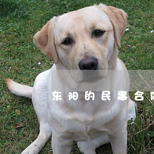 东阳的民事合同纠纷律师(东阳律师在哪里找)