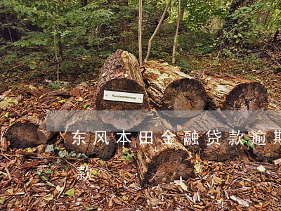 东风本田金融贷款逾期(东风本田两年无息贷款)