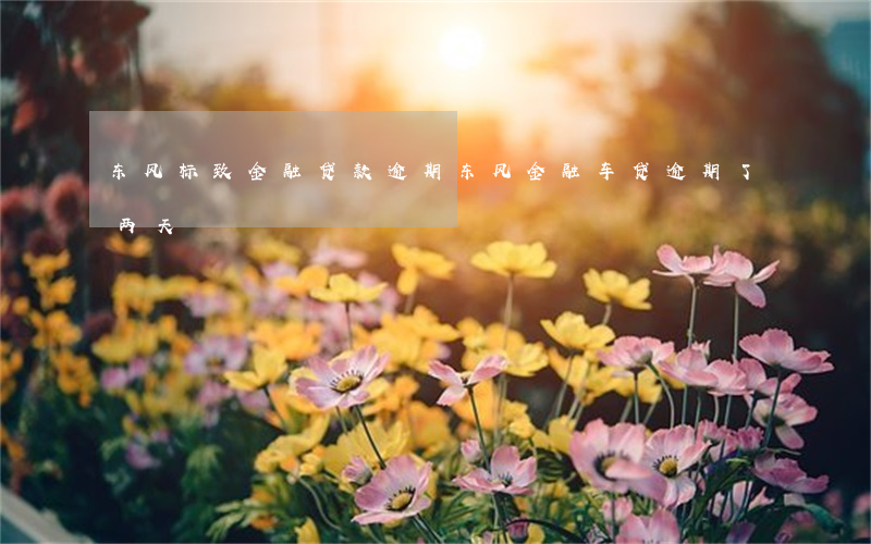 东风标致金融贷款逾期(东风金融车贷逾期了两天)