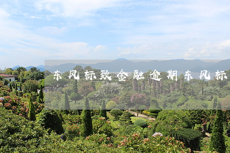 东风标致金融逾期(东风标致金融车贷)