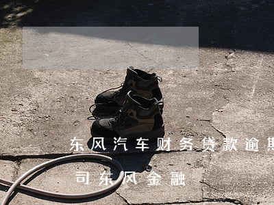 东风汽车财务贷款逾期(东风汽车财务有限公司 东风金融)