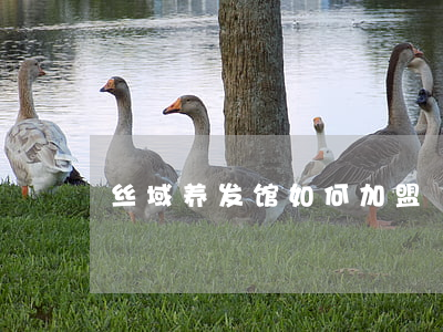丝域养发馆如何加盟