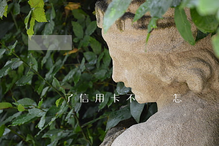 丟了信用卡不還會怎樣(丟了信用卡不還會怎樣)