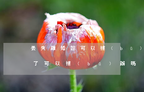 丟失離婚證可以補(bǔ)辦嗎(離婚證弄丟了可以補(bǔ)辦嗎?)