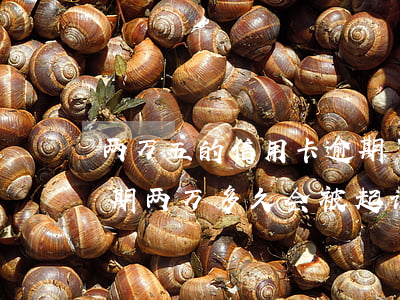 两万五的信用卡逾期了(2020年信用卡逾期两万多久会被起诉)