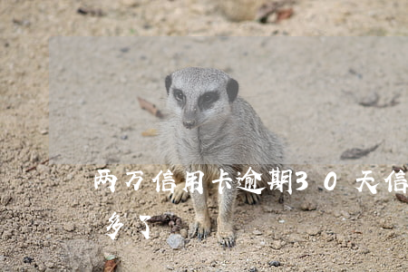两万信用卡逾期30天(信用卡3万逾期一年多了)