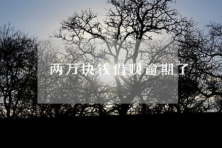两万块钱借呗逾期了