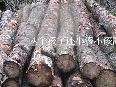 两个孩子还小该不该离婚(两个孩子可以离婚吗)