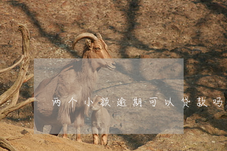 两个小额逾期可以贷款吗(贷款逾期一两个月)
