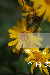 两个支付宝另外一个逾期了会不会扣另外一个的（支付宝逾期另一个号会扣钱）