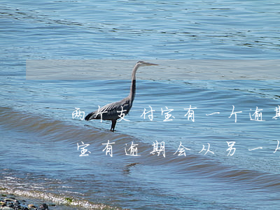 两个支付宝有一个逾期了会扣钱吗 一个支付宝有逾期 会从另一个支付宝扣吗