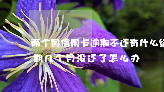 两个月信用卡逾期不还有什么结果（信用卡逾期几个月没还了怎么办）
