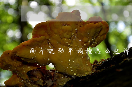 两个电动车相撞怎么起诉
