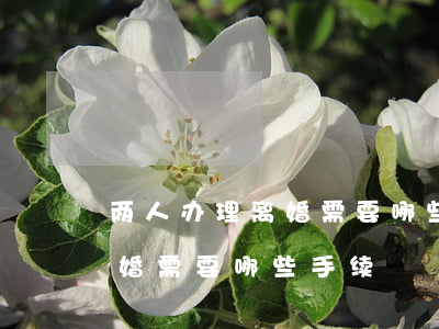 两人办理离婚需要哪些手续(如果两人协议离婚需要哪些手续?)
