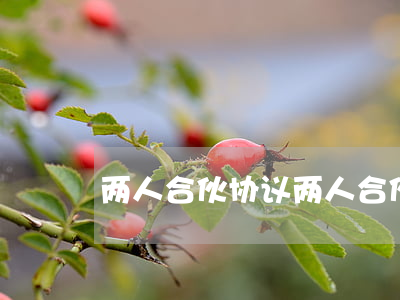 两人合伙协议(两人合伙协议)